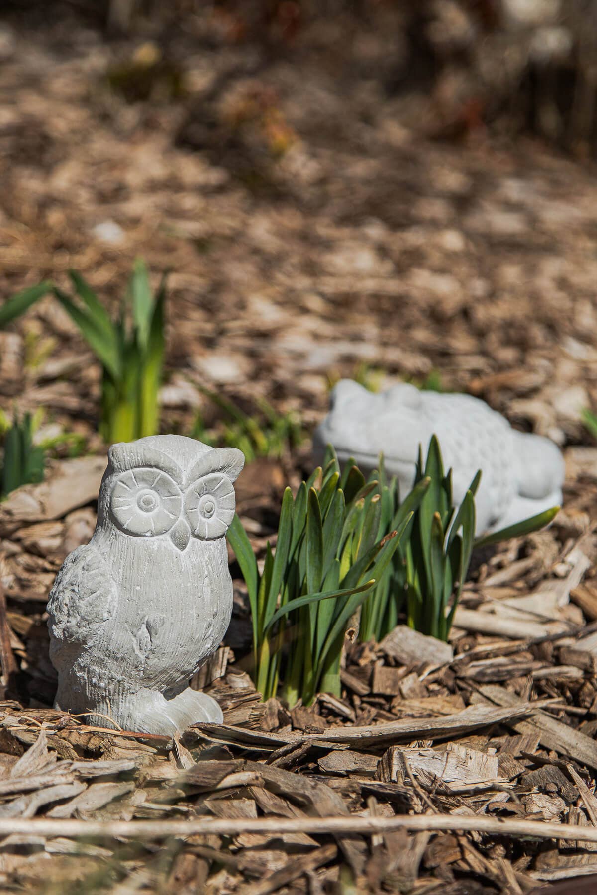 Bacon Basketware - CEMENT OWL: Cement