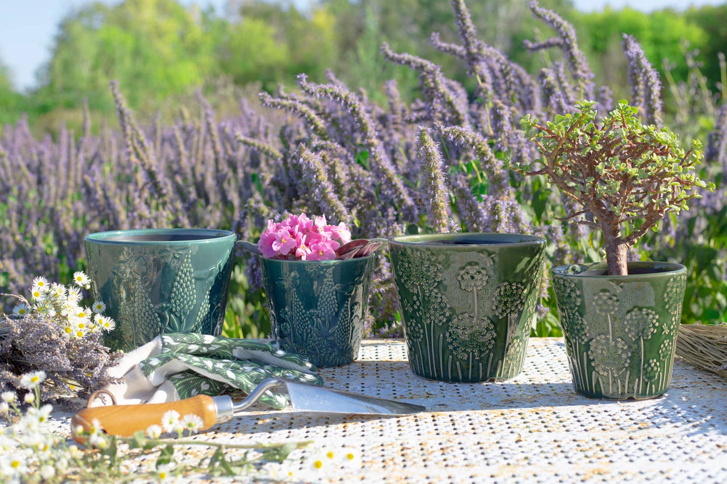 Bacon Basketware - DARK GREEN EMBOSSED CERAMIC POT LARGE: Ceramic