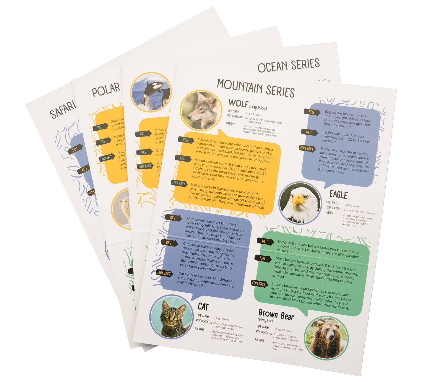 Arctic Hare Alabaster carving kit