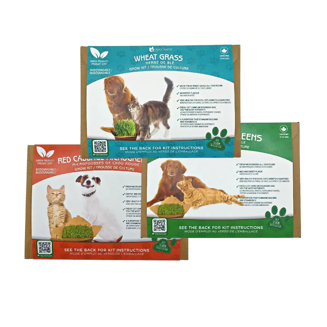 UgroGreens Ltd. - Wheatgrass Pet Kit