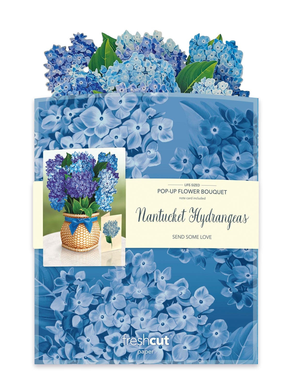 POPUP Nantucket Hydrangea