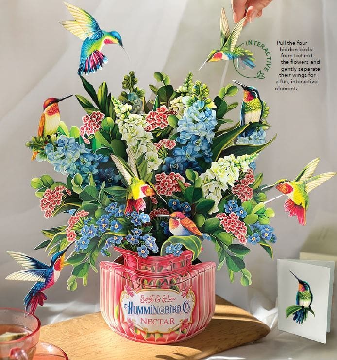 POPUP Hummingbird Oasis