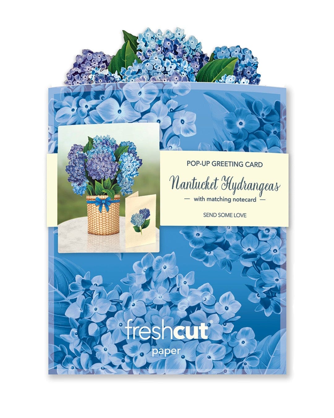 MINIPOPUP Nantucket Hydragea