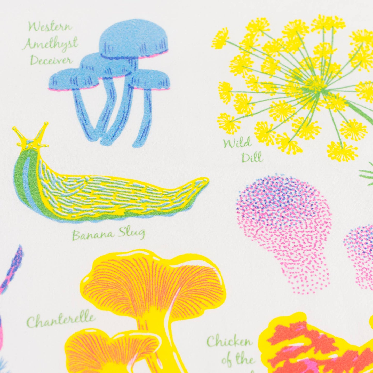 Porchlight Press Letterpress - Vibrant Life Series - Forest Floor Tea Towel