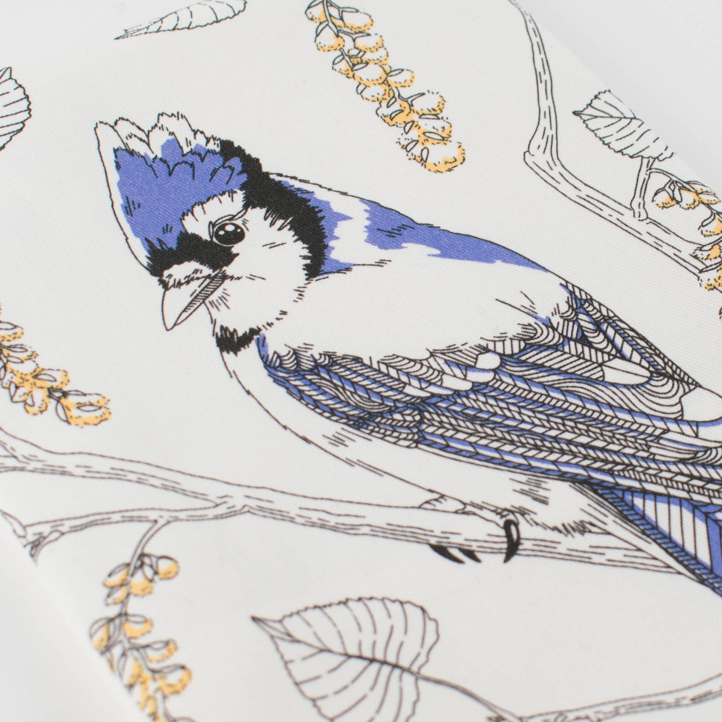 Letterpress - Blue Jay Tea Towel - West Coast Birds