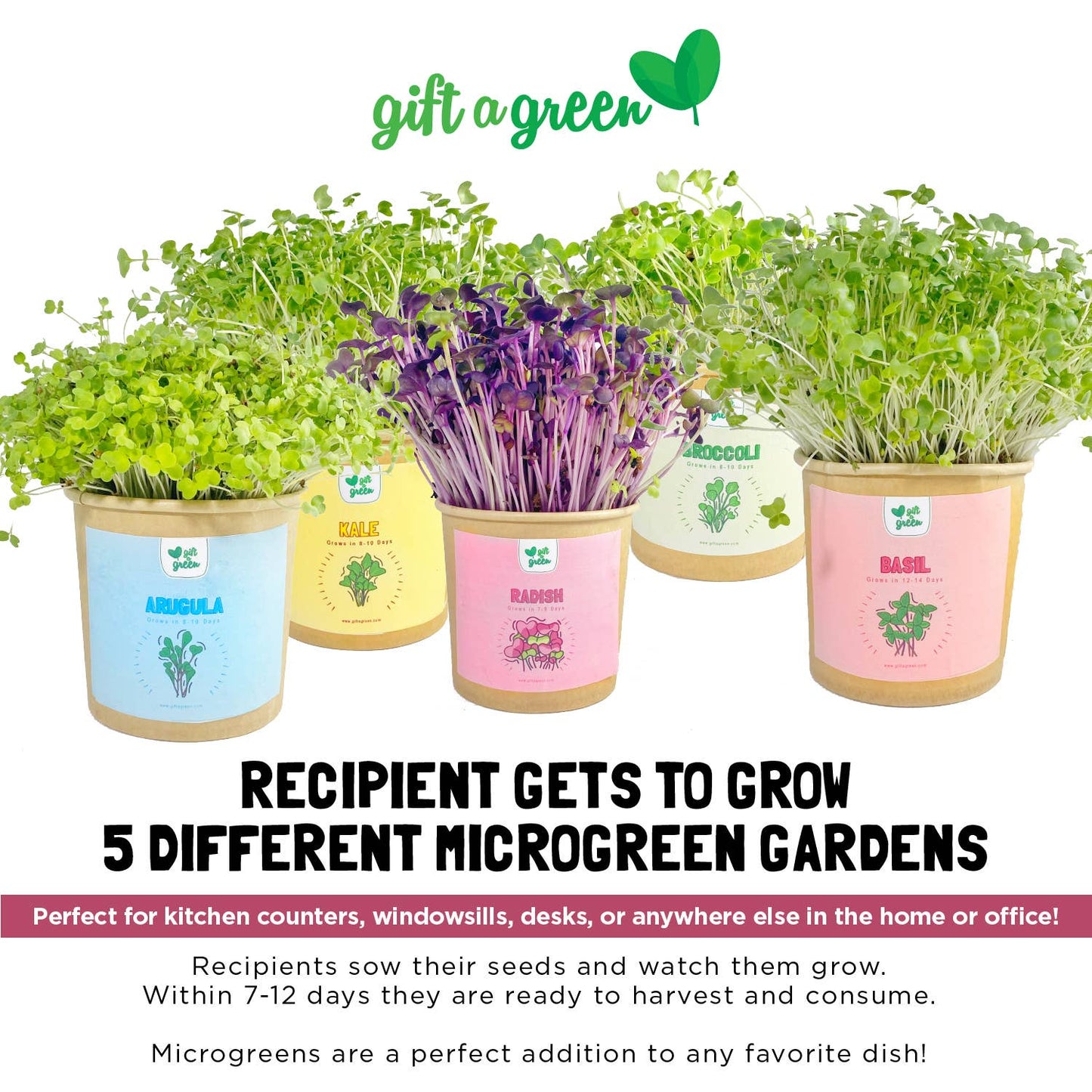 Gift Box - All Occasion
