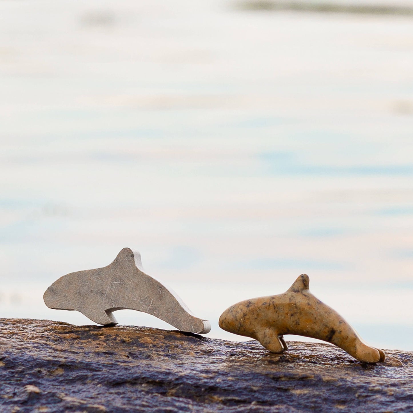 Orca Soapstone Carving and Whittling—DIY Arts and Craft Kit. All Kid-Safe Tools and Materials Included. For kids and adults 8 to 99+ Years.