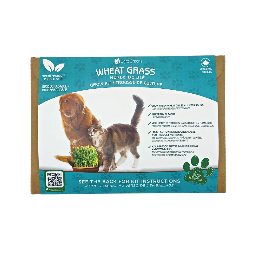 UgroGreens Ltd. - Wheatgrass Pet Kit