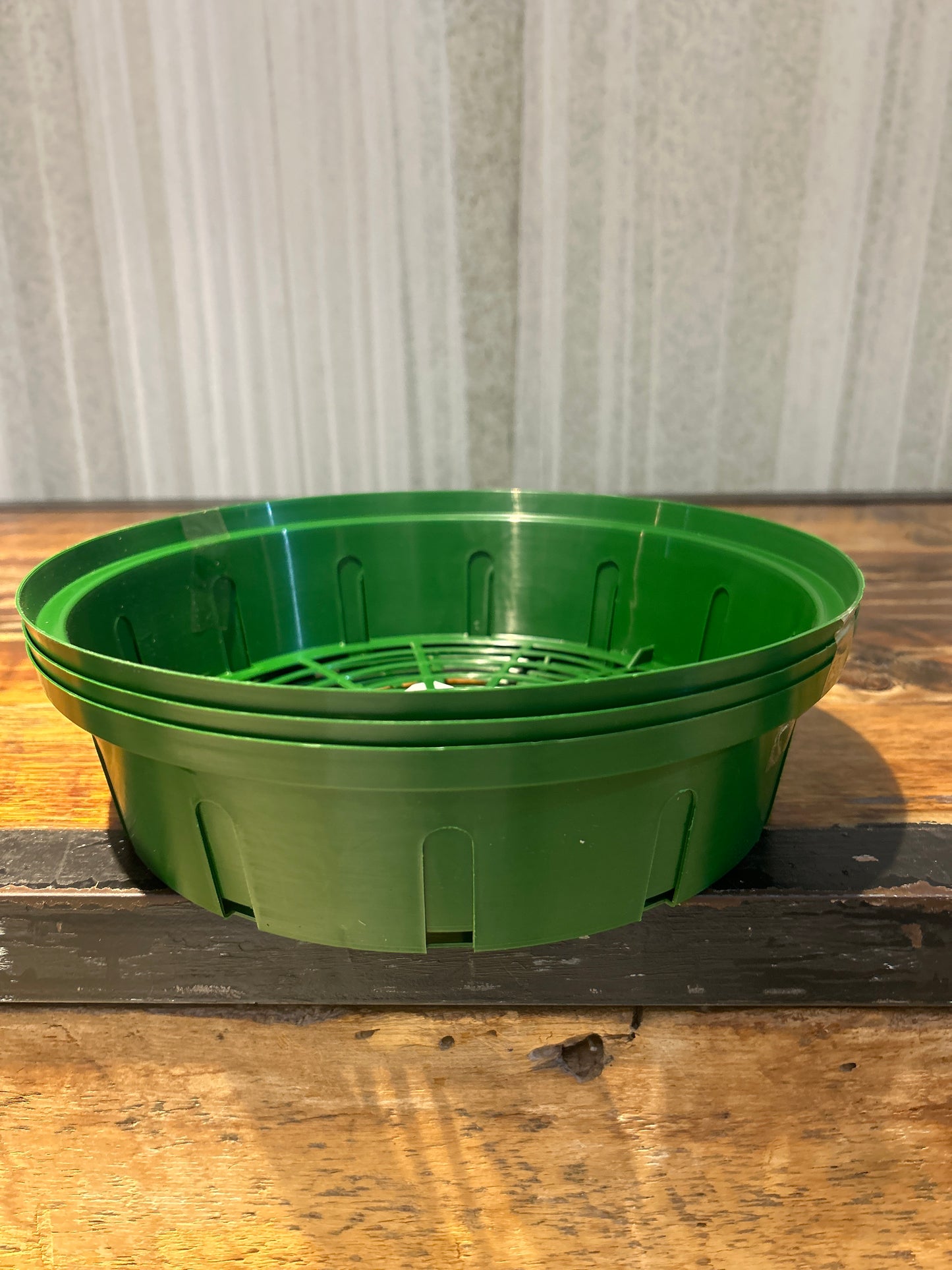 Plastic Bulb Planting Trays