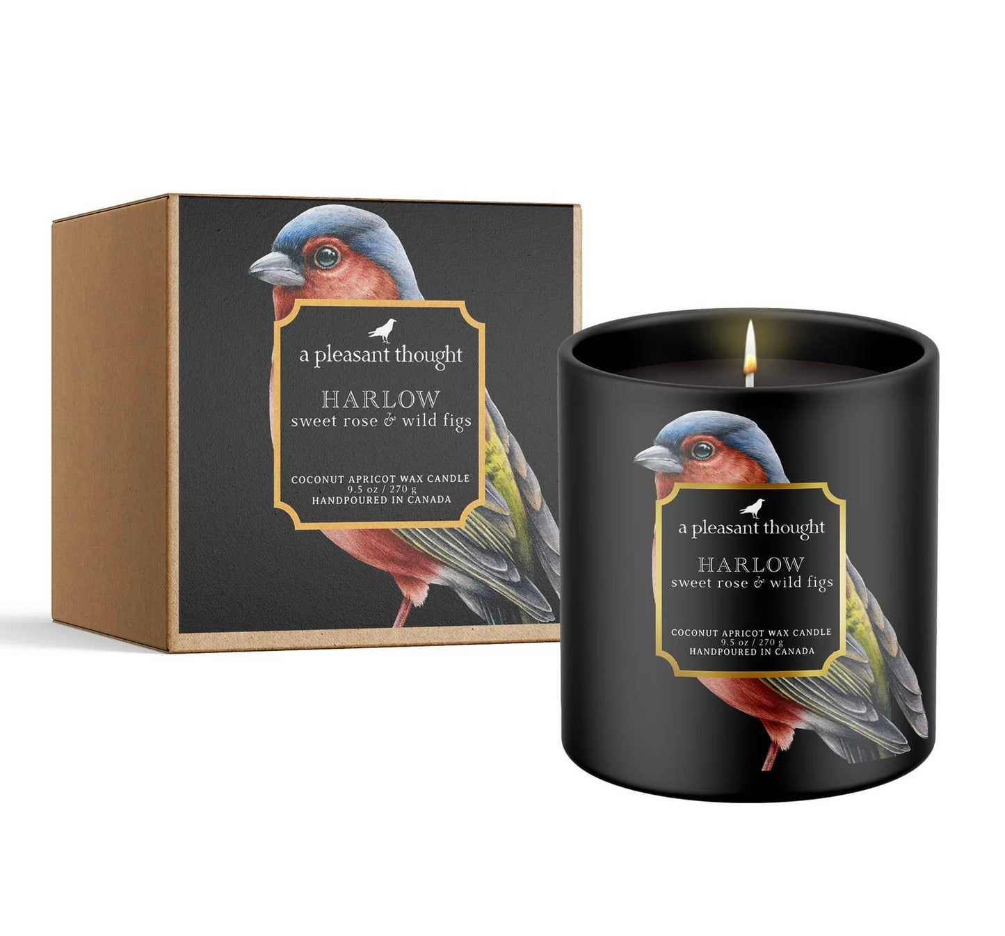 A Pleasant Thought - HARLOW | SWEET ROSE & WILD FIGS | RAVEN CANDLE: Cotton