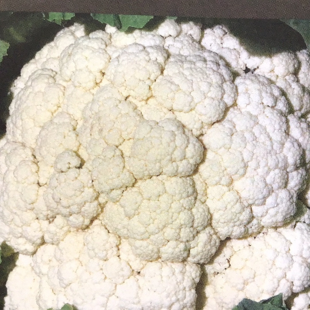 Cauliflower Amazing