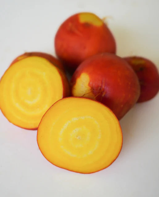 Golden Boy Beet Seeds