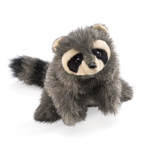 Baby Raccoon