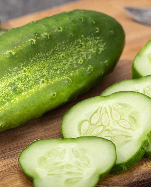 Cucumber Seeds Spacemaster