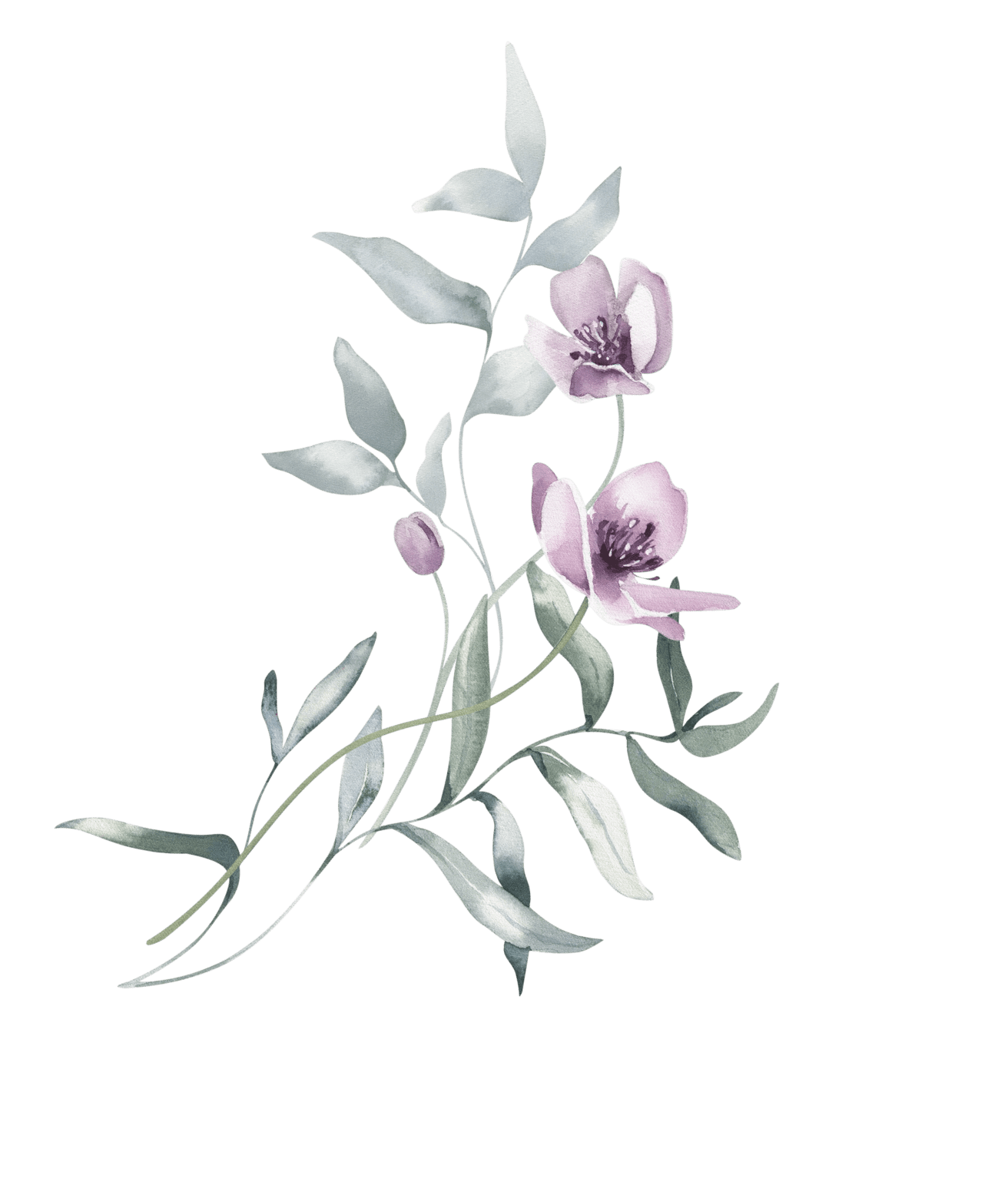 Membership - Gardener 1 year
