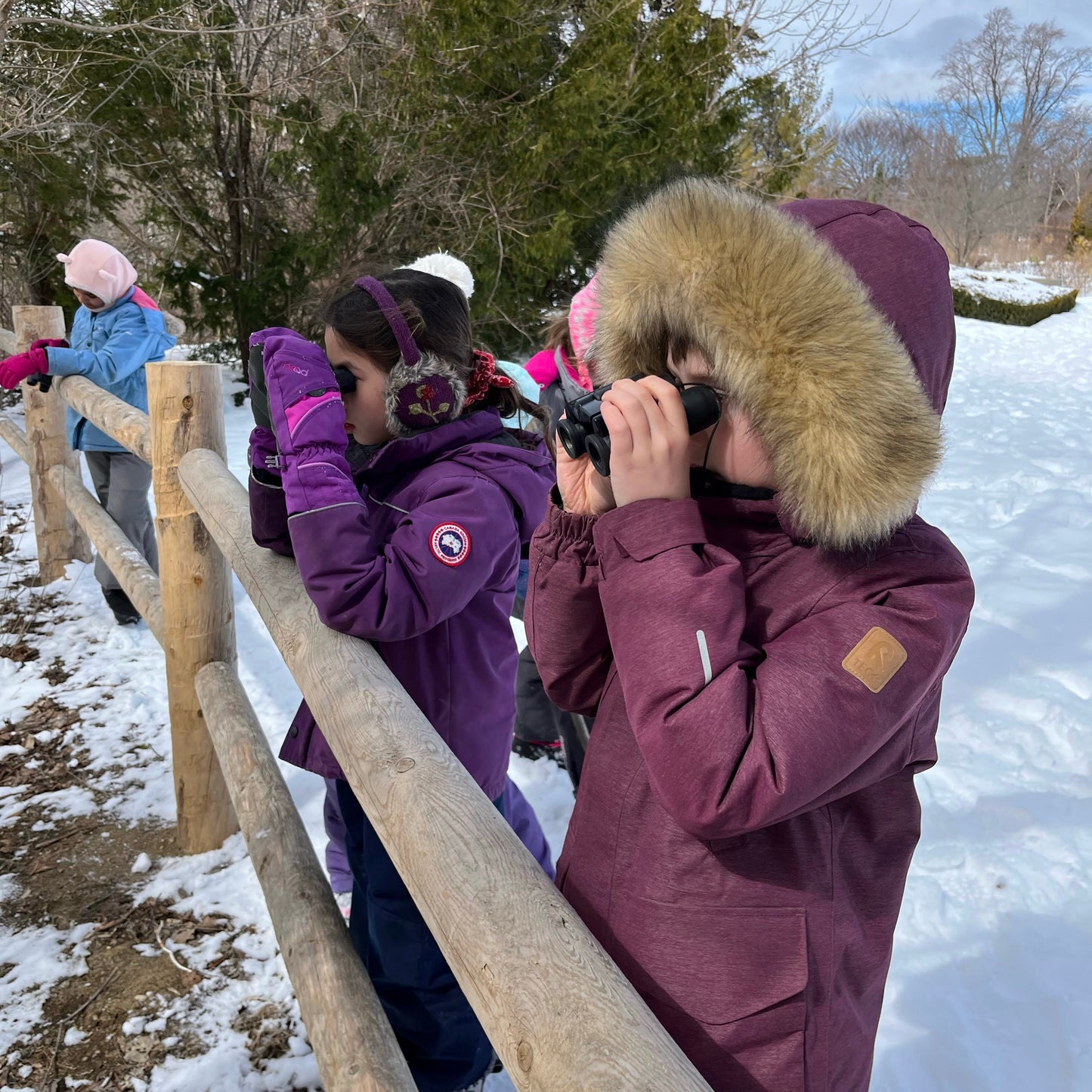 Winter Day Camp 2025/2026