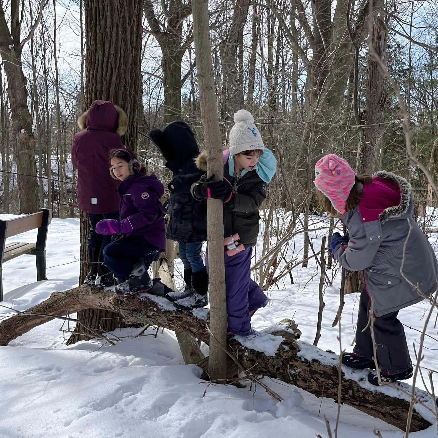 Winter Day Camp 2025/2026