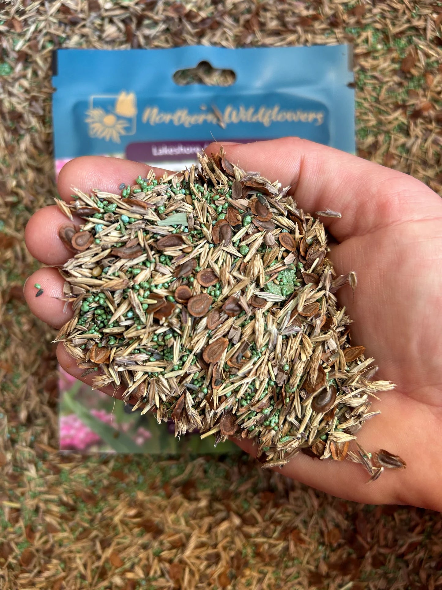 Lakeshore Wildflower Seed Mix
