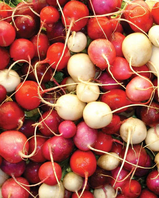Radish Easter Egg II Blend