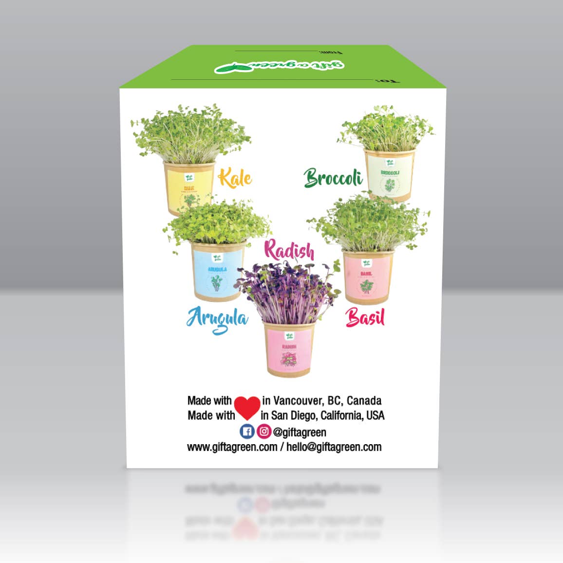 Gift Box - All Occasion
