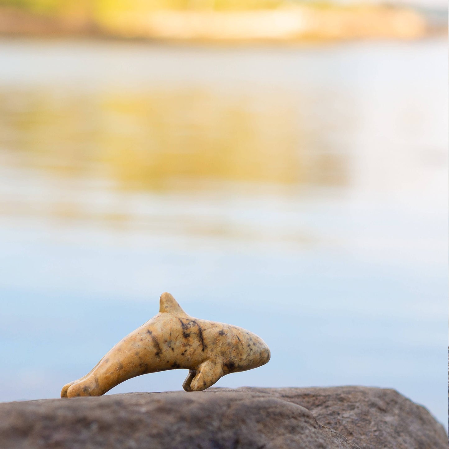 Orca Soapstone Carving and Whittling—DIY Arts and Craft Kit. All Kid-Safe Tools and Materials Included. For kids and adults 8 to 99+ Years.