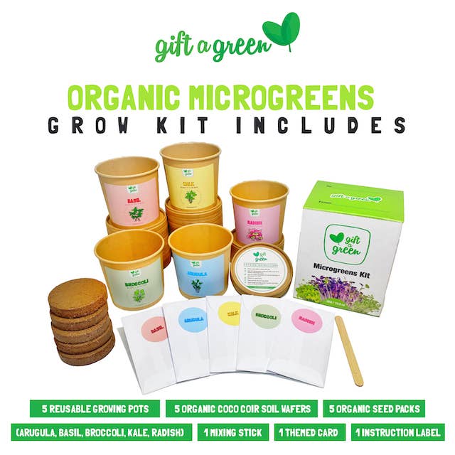 Gift Box - All Occasion