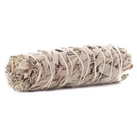 White Sage 4 inch