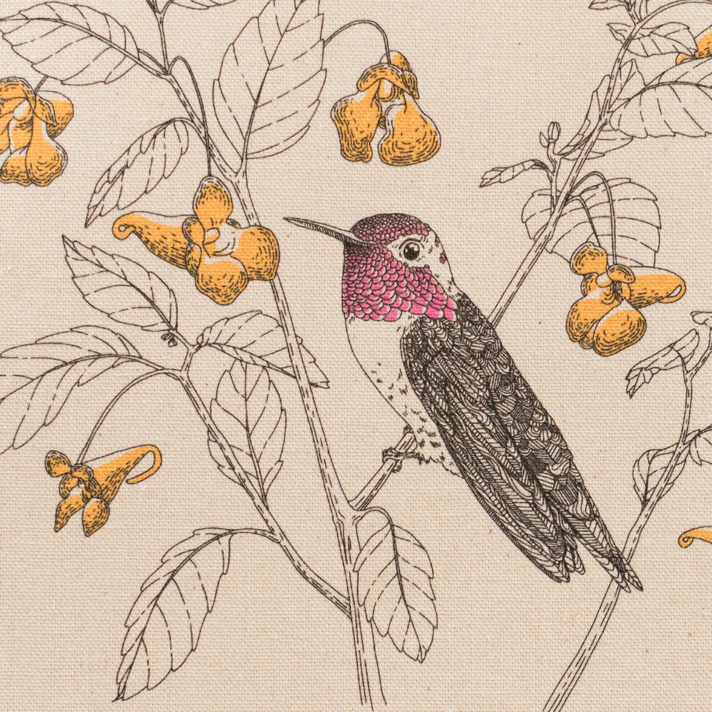 Letterpress - Tote Bag: Anna's Hummingbird