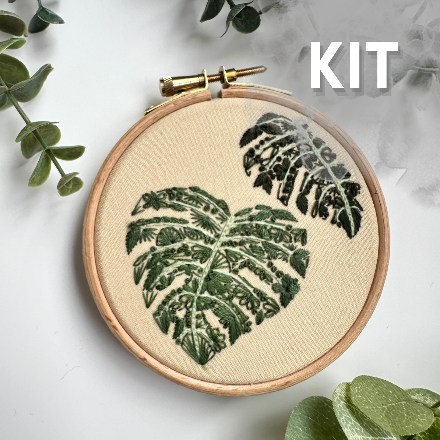 Mighty Monstera Mini Kit