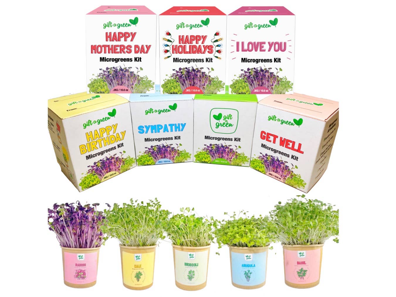 Gift Box - All Occasion