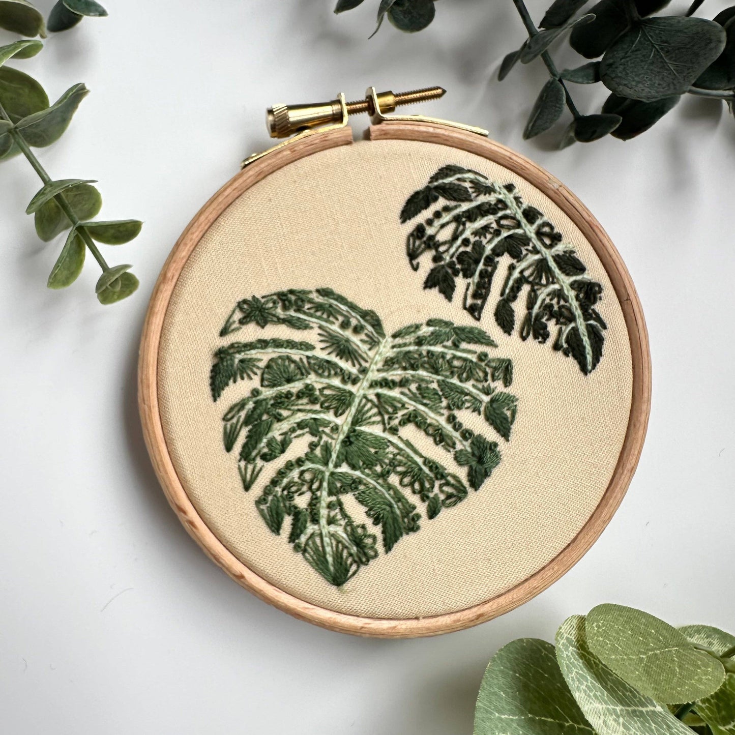 Mighty Monstera Mini Kit