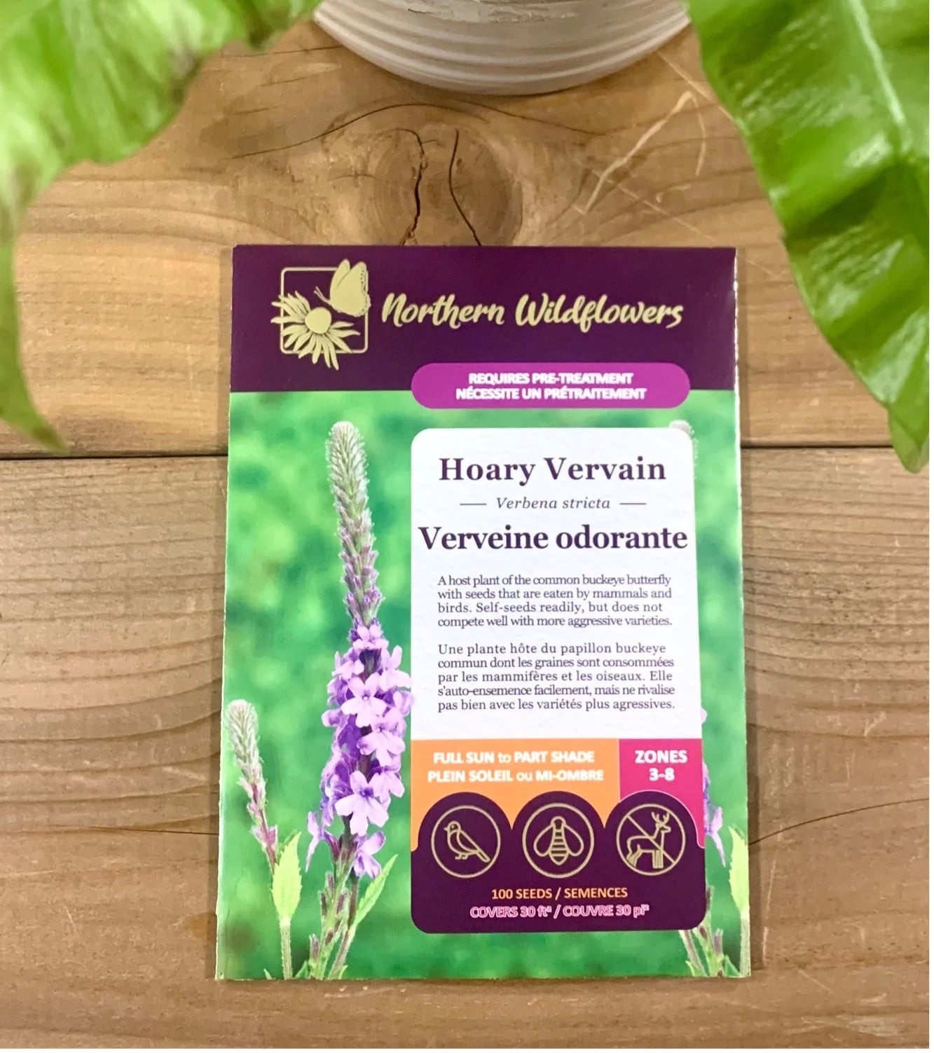 Seeds Hoary Vervain