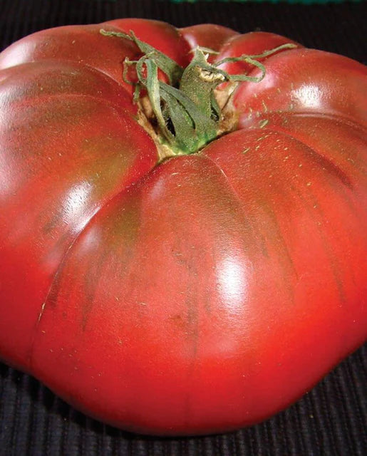 Tomato Black Krim