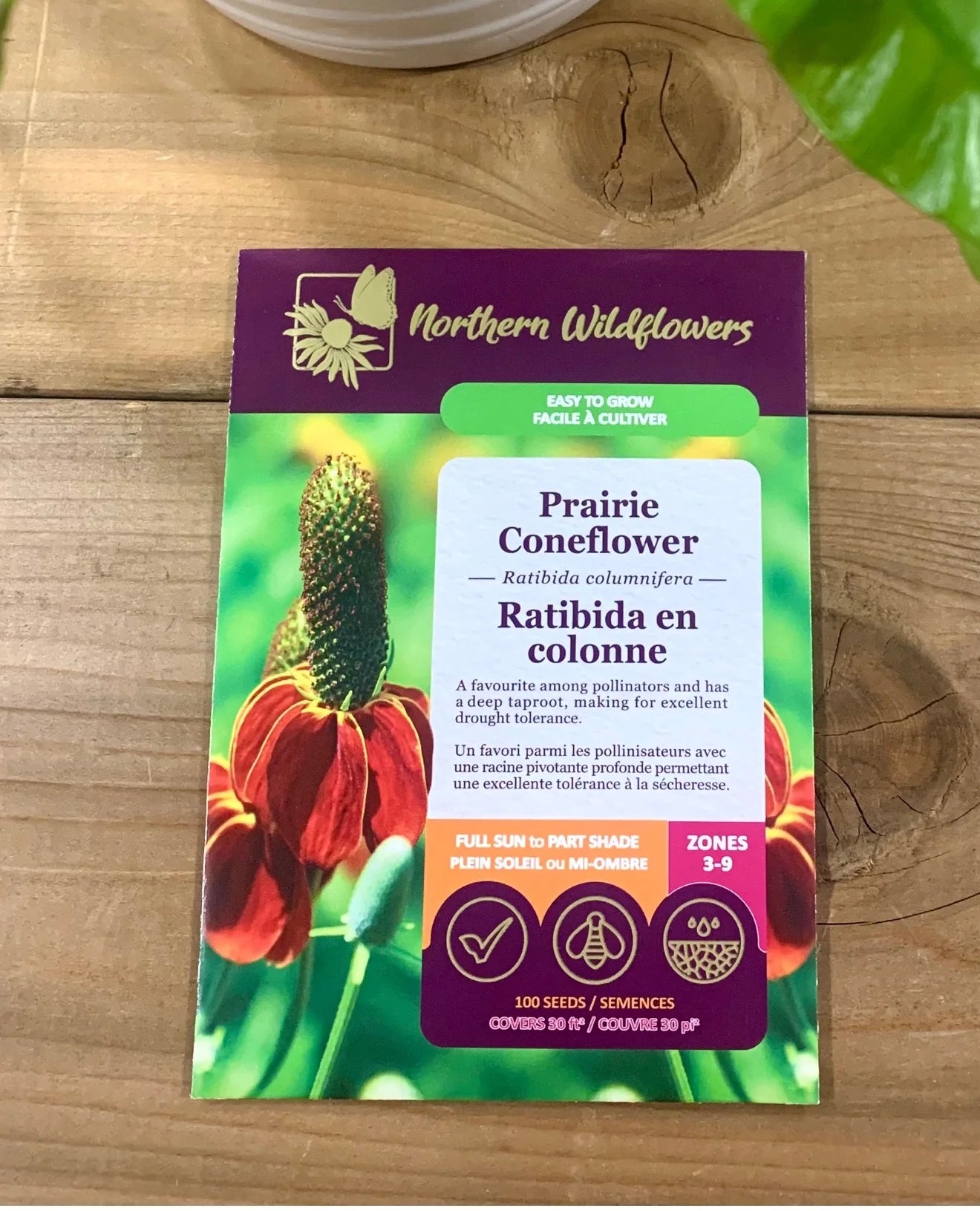 Seeds Prairie Coneflower