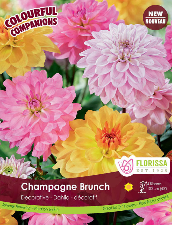 3 Blubs Champagne Brunch
