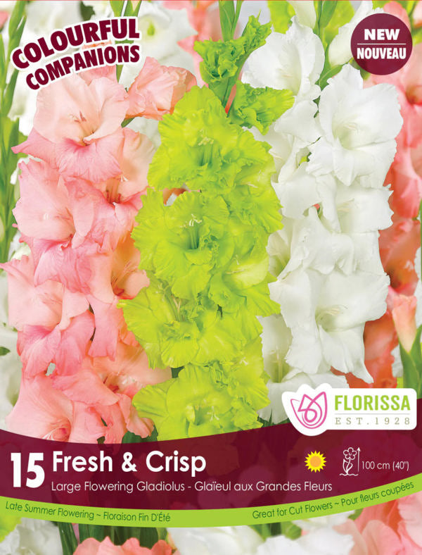 Fresh & Crisp 15 Bulbs