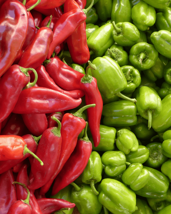 4 Inch Jalapeno Pepper
