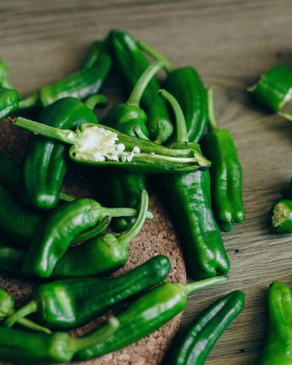 4 Inch Shishito Pepper