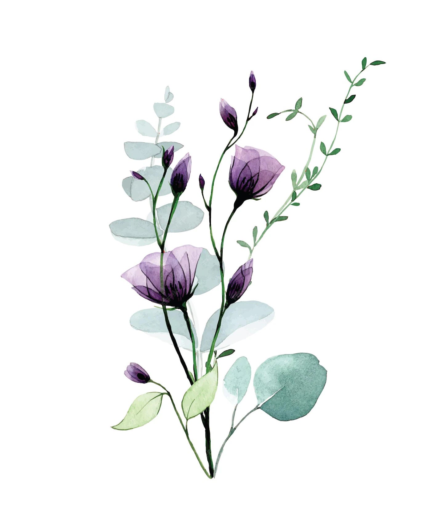 Membership - Botanist 2 year