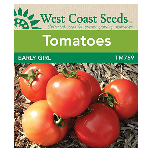 Tomato Early Girl