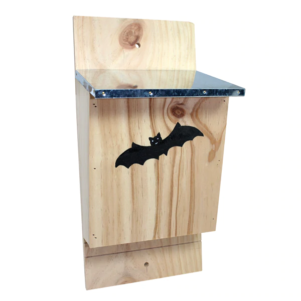 Bat Box (House)