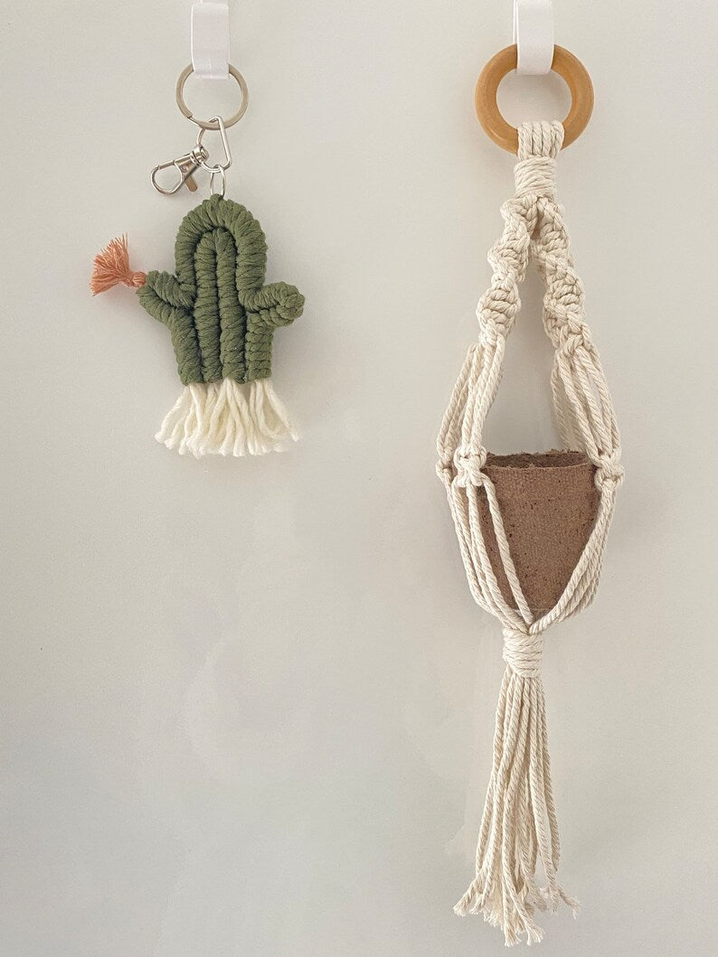 DIY Macramé Plant Hanger & Cacti Kit