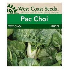 Cabbage Pac Choi Toy Choi