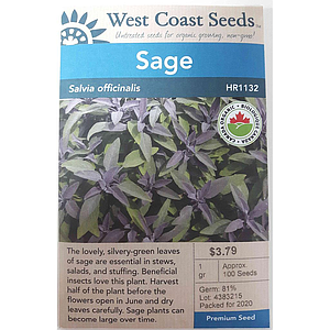 Herb Sage Salvia Officinalis