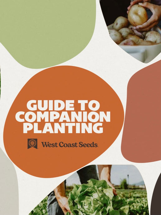 Companion Planting - West Coast Seeds