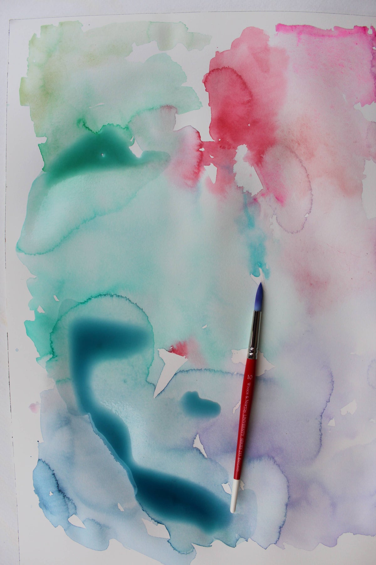 Schiffer Publishing - Painterly Days: The Flower Watercoloring Book for Adults
