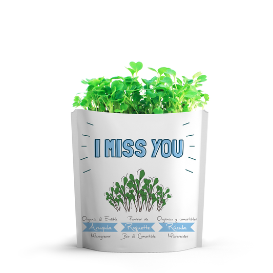 I Miss You Greeting Card Pouch