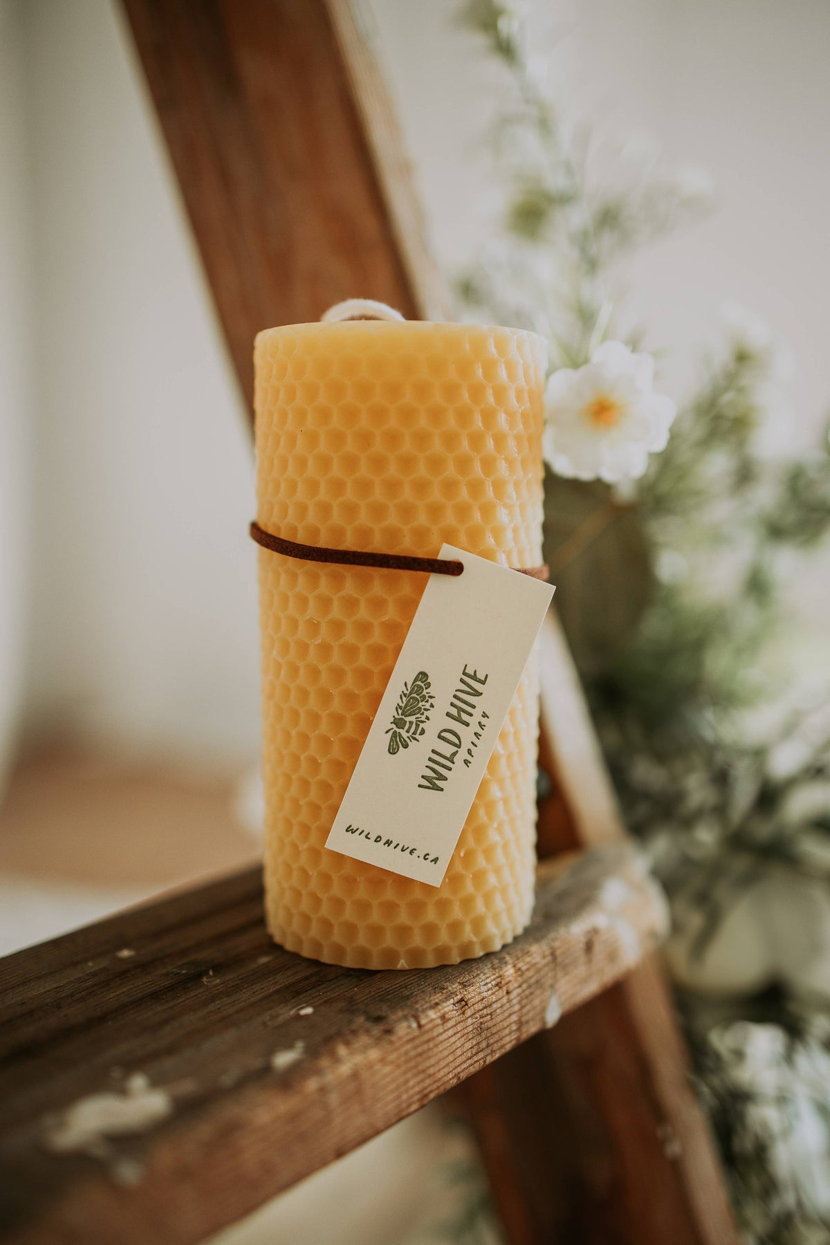 Wild Hive Apiary - Honeycomb Cylinder