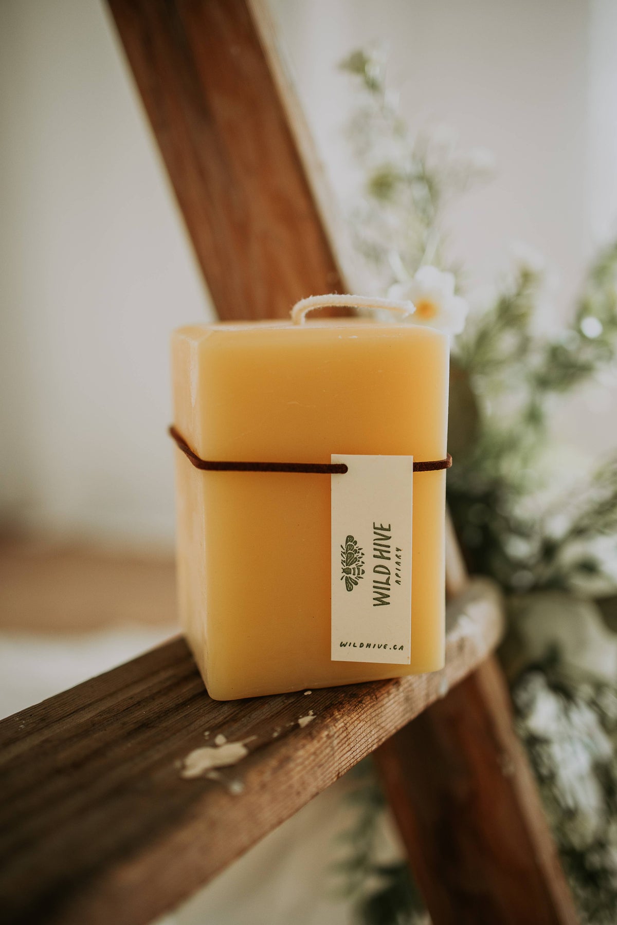 Wild Hive Apiary - Medium Square