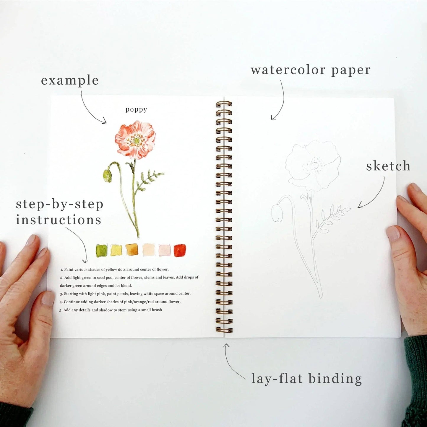 emily lex studio - Flowers watercolor workbook